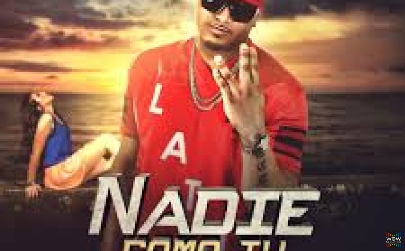Nadie como tu
